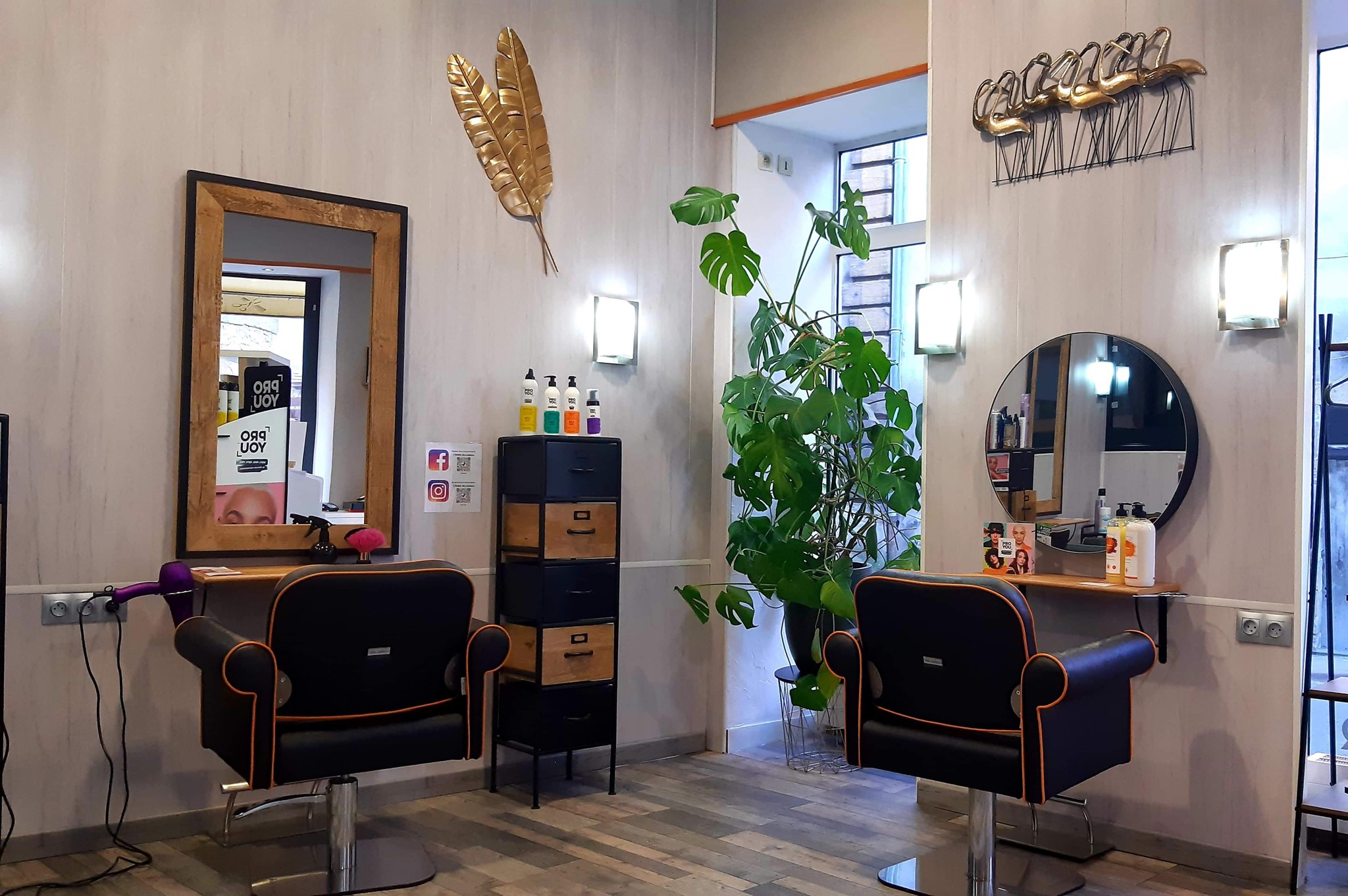 salon 1