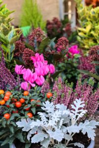 Fleuriste fleur Tibi Charolles