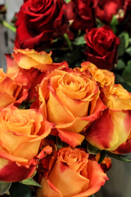 fleuriste Charolles