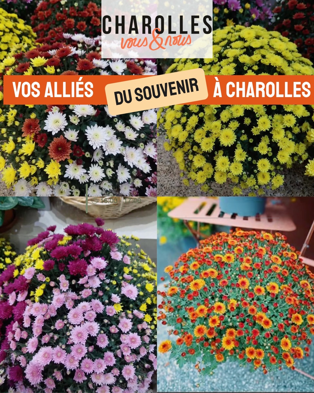 fleuriste Toussaint Charolles